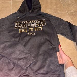 Panthers Gray Hoodie